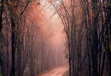 人人体育:剪辑专家:我认为欧足联关于阿尔瓦雷斯二触的视频是伪造的.