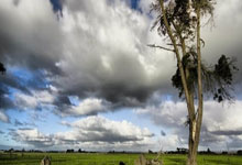 人人体育：[图]萨巴伦卡2-0苦战创5大纪录 硬地大满贯17连胜.