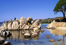 米兰之路劲敌环伺——短道速滑世锦赛综述.